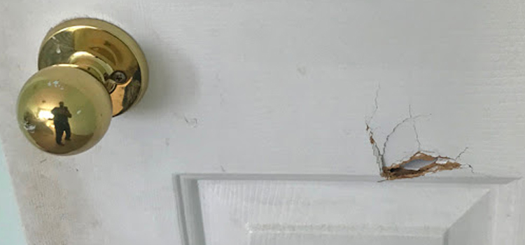 interior door hole repair Cloverdale