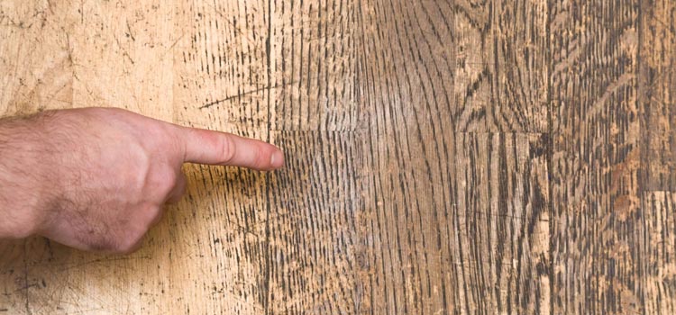 Wood Door Scratch Repair in Cloverdale